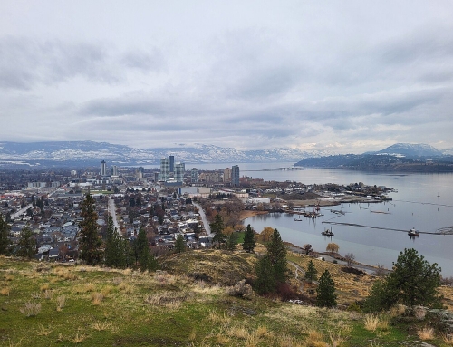 When Does Pest Season Start in Kelowna? Earlier Than You Think